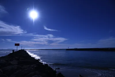 DSC_0852 (Large).JPG